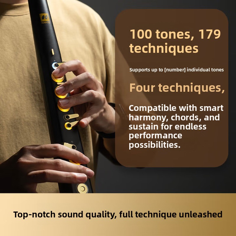 C20トゥルーサンプリング国産高級インテリジェント電動ブロー - Musical Instrument You Blow のレビューと価格