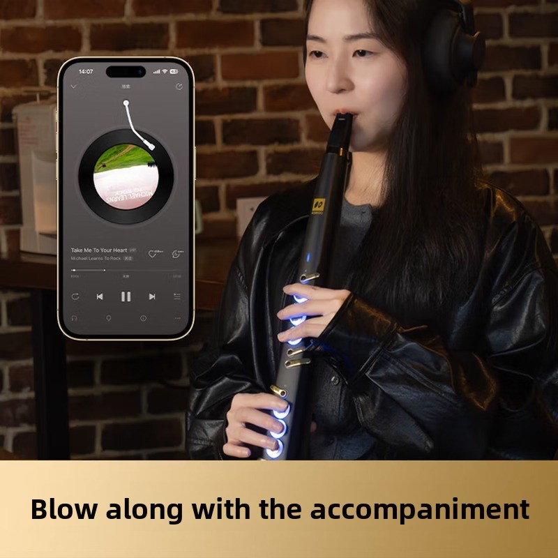 C20トゥルーサンプリング国産高級インテリジェント電動ブロー - Musical Instrument You Blow のレビューと価格