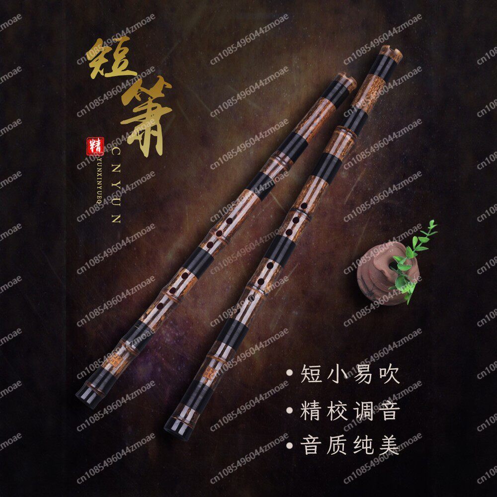 プロ仕様の竹笛、短笛、小笛、吹奏楽器、初心者向け、竹笛（ジズ - Musical Instrument You Blow のレビューと価格
