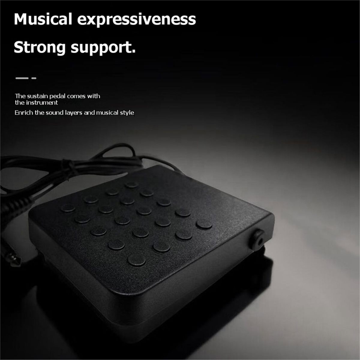 B72ABG 電子ピアノペダル楽器アクセサリーサスティンペダ - Musical Instrument Keyboard のレビューと価格