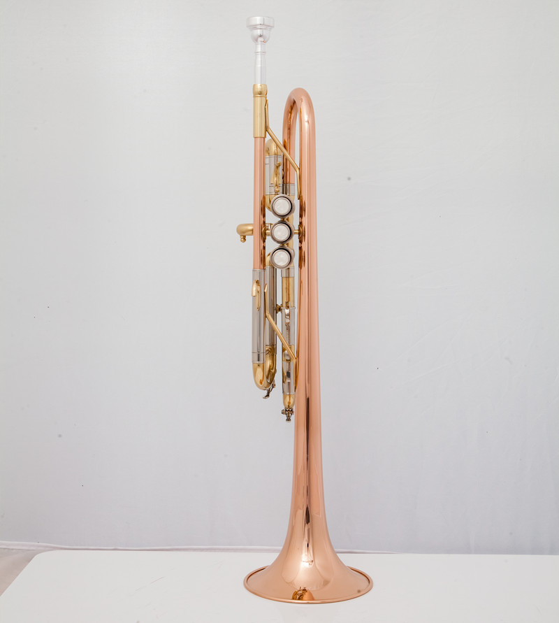 プロフェッショナル C トランペット楽器プロフェッショナルト - Musical Instrument Fagot のレビューと価格