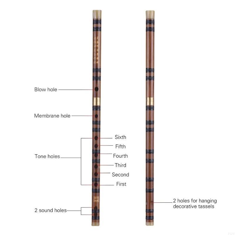 PXPF学生竹fluteポータブルフルートチャイニーズインス - Musical Instrument Pipe のレビューと価格